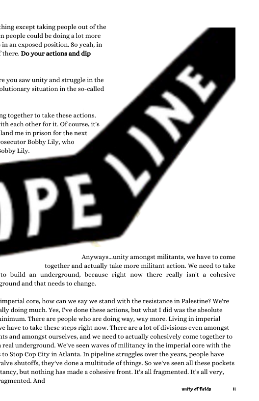 hing except taking people out of the n people could be doing a lot more in an exposed position. So yeah, in ‘there. Do your actions and dip  e you saw unity and struggle in the plutionary situation in the so-called  g together to take these actio ith cach other for it. Of course,it’s land me in prison for the next osecutor Bobby Lily, who obby Lily.  .y amongst militants, we have to come together and actually take more militant action. We need to take to build an underground, because right now there really isn’t a cohesive sround and that needs to change. imperial core, how can we say we stand with the resistance in Palestine? We’re Ay doing much. Yes, I’ve done these actions, but what I did was the absolute inimum. There are people who are doing way, way more. Living in imperial e have to take these steps right now. There are a lot of divisions even amongst wts and amongst ourselves, and we need to actually cohesively come together to real underground. We’ve seen waves of militancy in the imperial core with the toStop Cop City in Atlanta. In pipeline struggles over the years, people have alve shutoffs, they’ve done a multitude of things. So we’ve seen all these pockets tancy, but nothing has made a cohesive front. It’s all fragmented. It’s all very, agmented. And  ity oFelds “ 